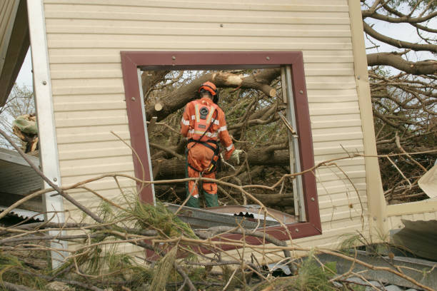 How Our Tree Care Process Works  in  Berkley, CO